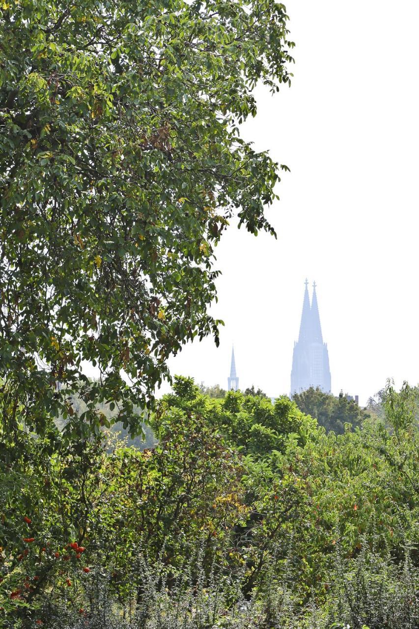 Top Apartments In Zentraler Lage Cologne Exterior photo